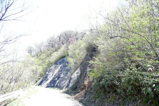 諸塚山への登り口